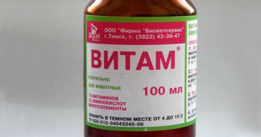 Витам для собак: инструкция по применению витаминно-минерального комплекса