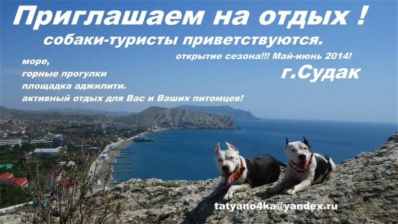 Самые необычные отели подмосковья и ближайших областей: в лесу, для двоих, для отдыха с детьми