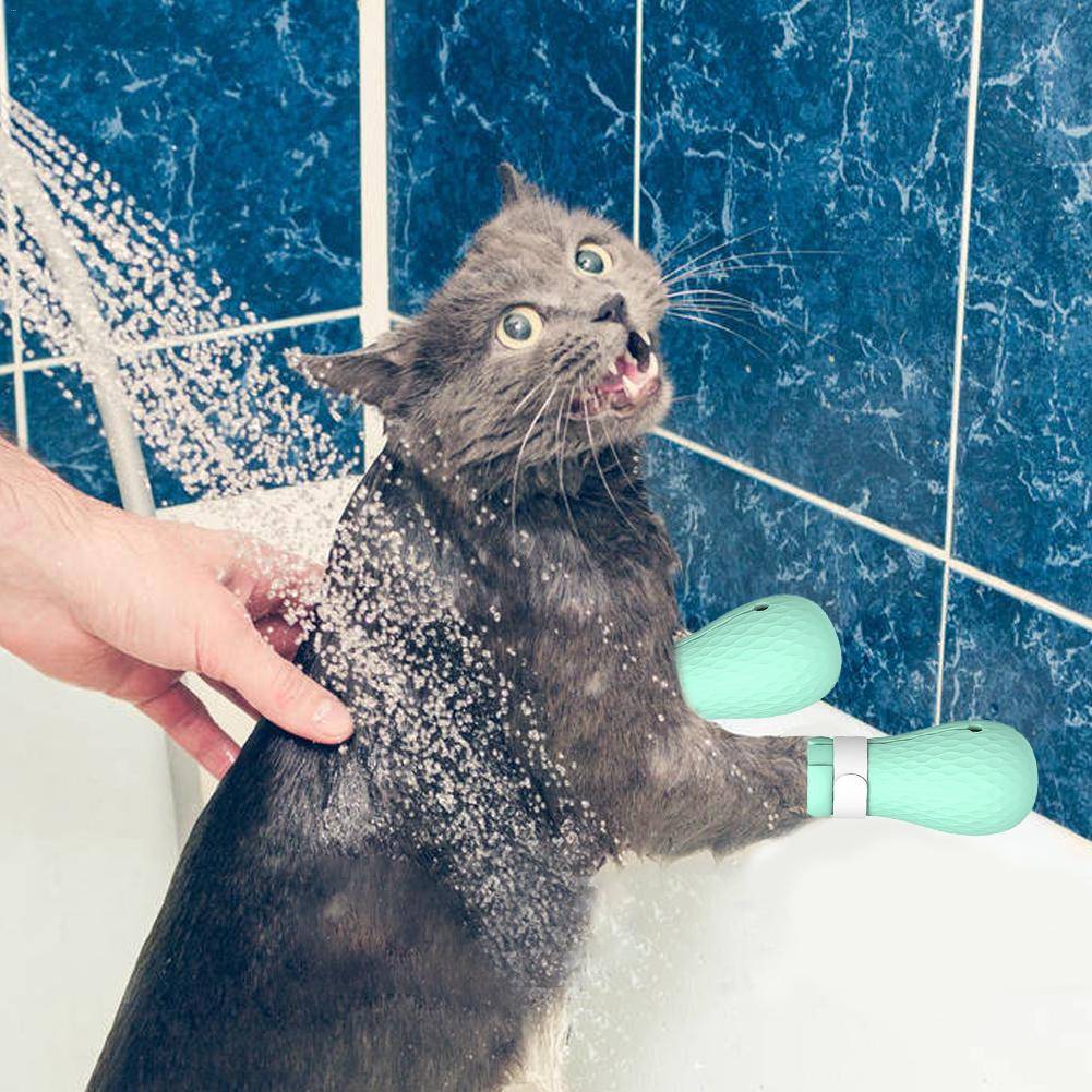 Почему кошки боятся воды - причины и как приучить купаться