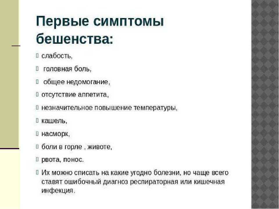 Бешенство у собаки – причины, симптомы, лечение