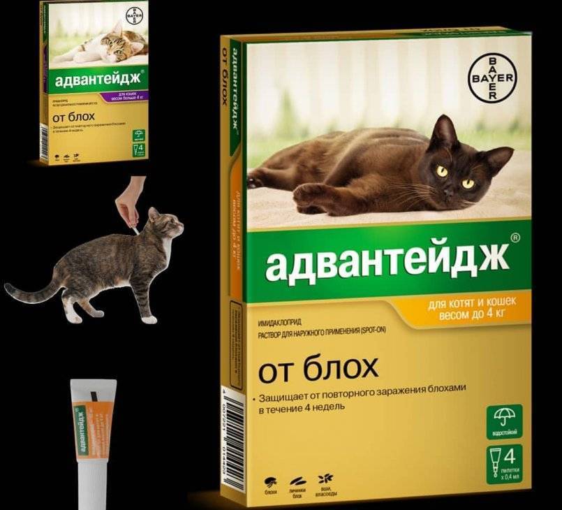 Advantage | капли адвантейдж для кошек и собак | имидаклоприд инструкция, применение