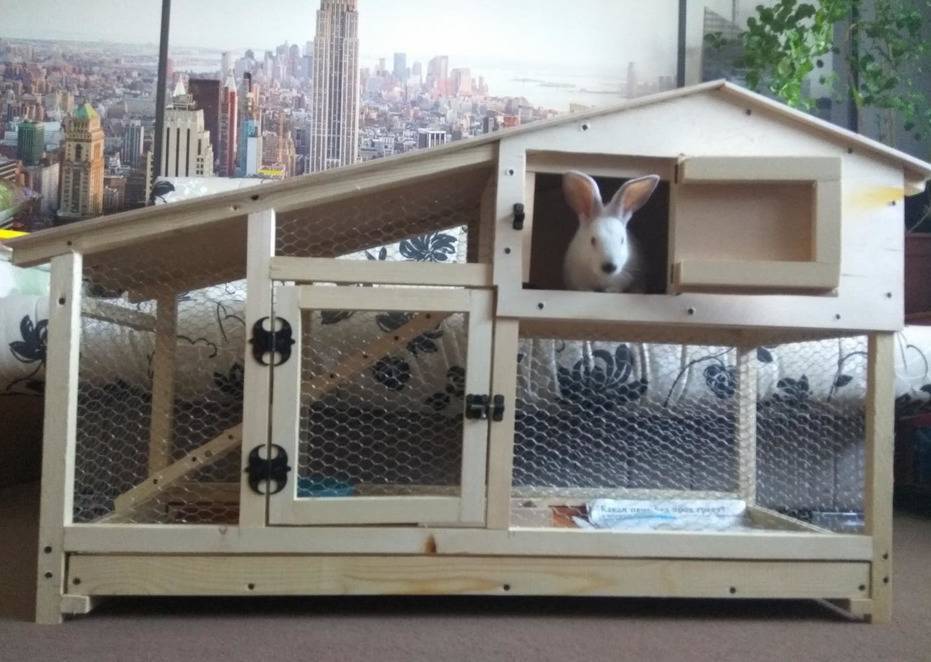 Домик для кролика своими руками в домашних условиях, изготавливаем дом кролика