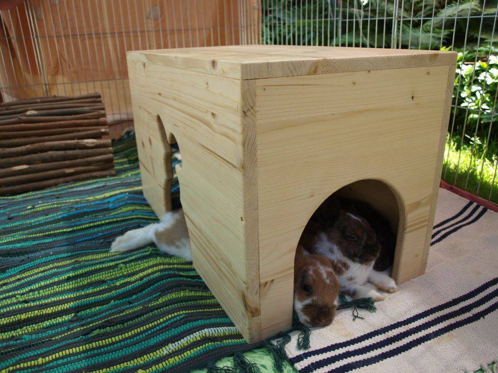 Руководство по изготовлению домика для декоративных кроликов собственноручно