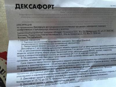 Дексафорт для собак: инструкция по применению и отзывы