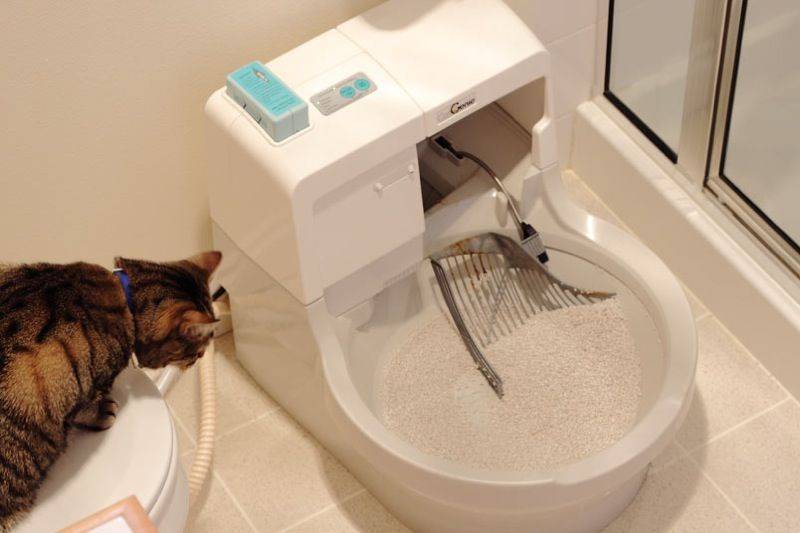 Автоматические туалеты для кошек: кошачий рай - все о породах кошек с описанием, фотографиями и названиями.все о породах кошек с описанием, фотографиями и названиями.