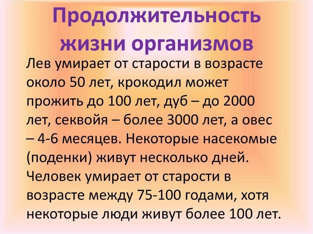 Хамелеон – чемпион по странностям