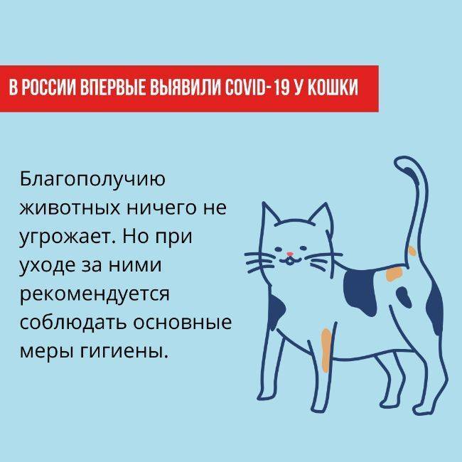 Каким путем передается псориаз и каковы риски заболеть