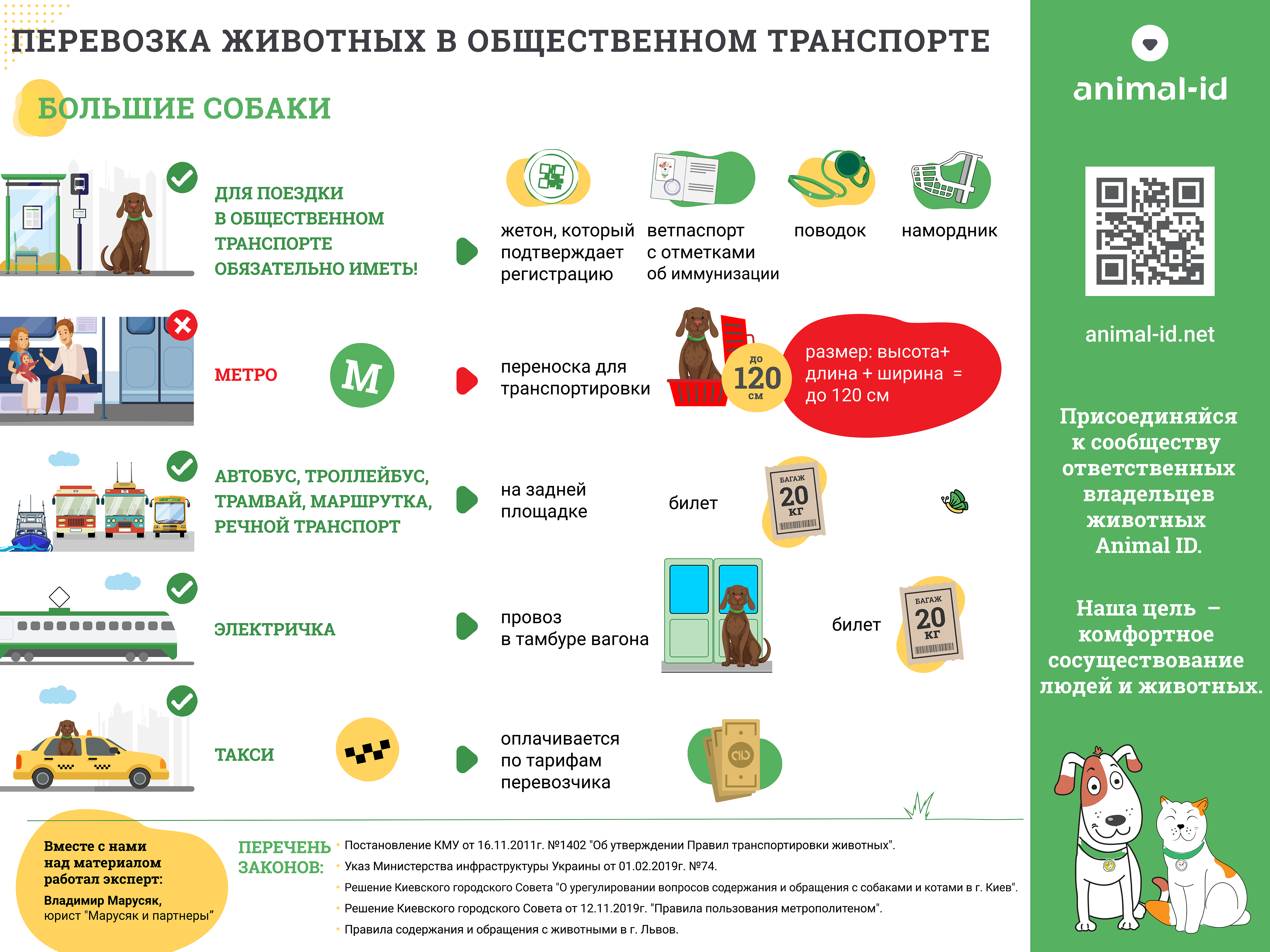Можно ли с собакой в метро: правила перевозки