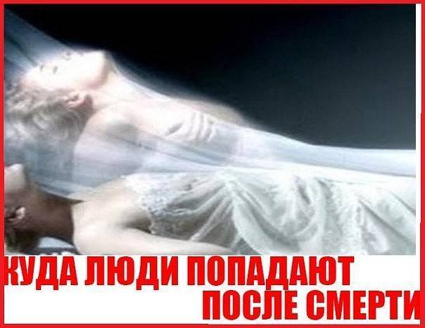 Куда попадают кошки после смерти, есть ли у них душа: ответы экстрасенсов, точка зрения православия