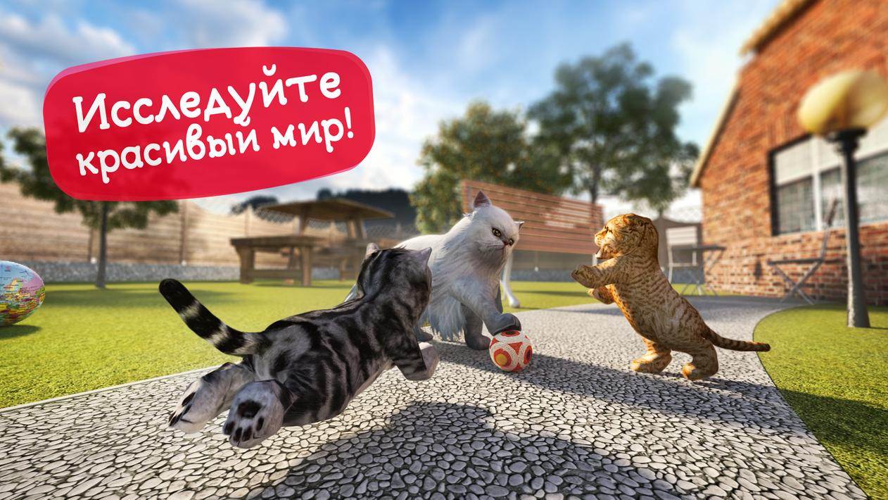 Как весело провести время с котом (с иллюстрациями)