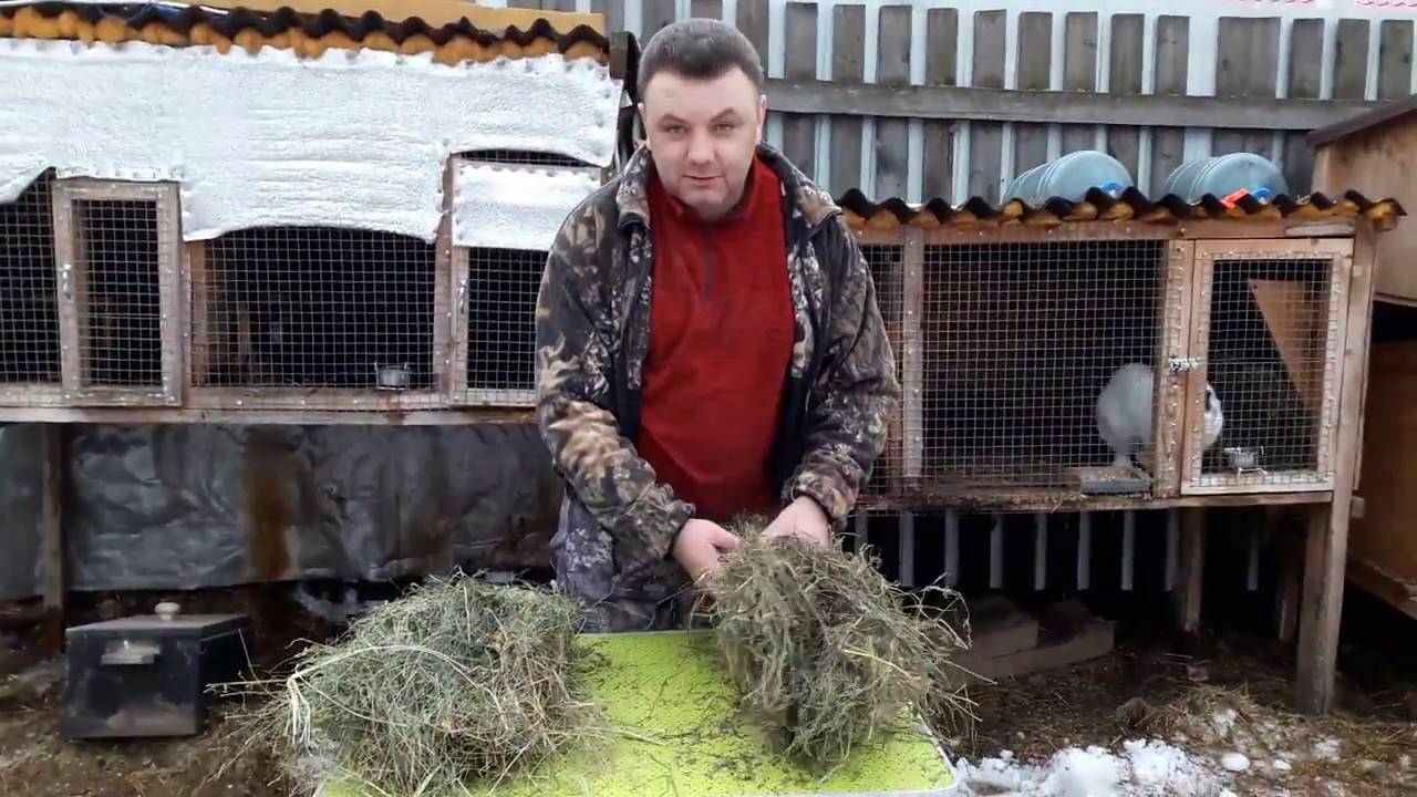Сено для кроликов: внимание к составу