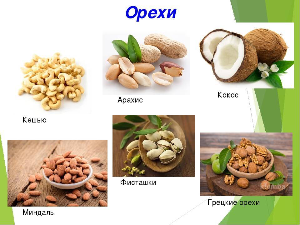 Чем можно кормить джунгариков в домашних условиях? список продуктов для хомяков, рекомендации ветеринаров