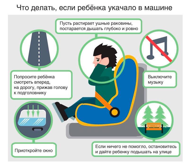 Что делать если собаку укачивает | блог ветклиники "беланта"