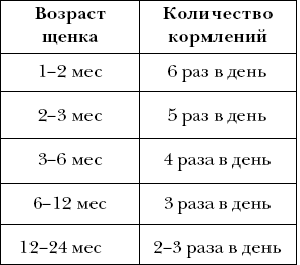 Кормление щенка