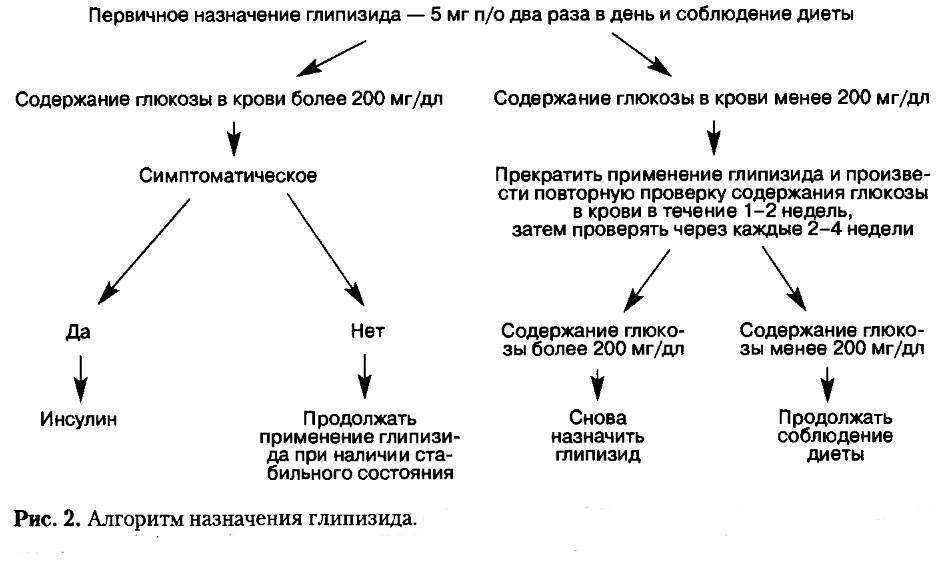 Диабет у кошек: симтомы и лечение.