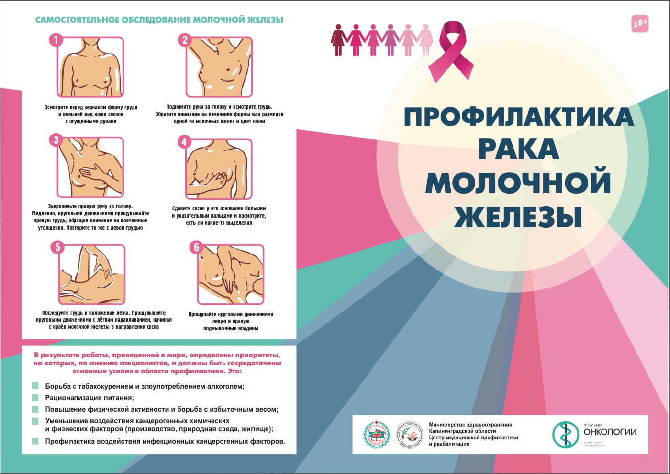 Рак молочной железы у кошки: классификация, симптомы, лечение на разных стадиях | звери дома