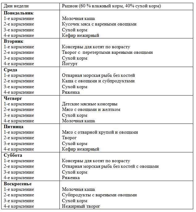 Чем кормить котенка в 4 месяца: состав рациона. как приготовить правильный корм для четырехмесячного котёнка, чего ему давать нельзя - автор екатерина данилова - журнал женское мнение