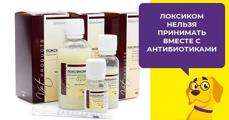 Локсиком