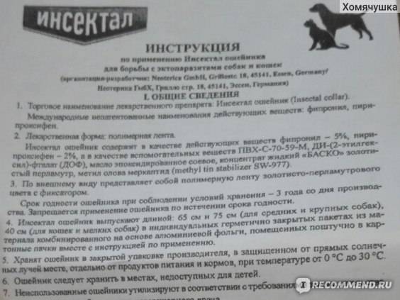 Глисты у котят - симптомы, признаки, методы лечения