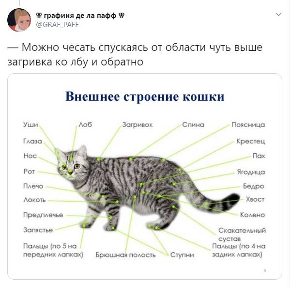 Когнитивно-поведенческие упражнения