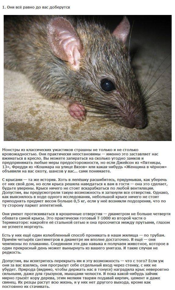 Как проявляется близорукость у детей разного возраста?