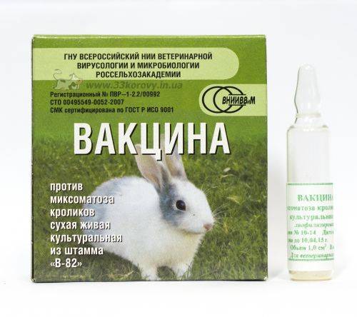 Вакцинация кроликов: прививки и их сроки