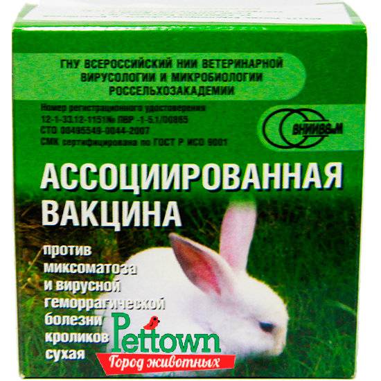Вакцина кроликам от миксоматоза и вгбк. ВГБК И миксоматоз. Ассоциированная вакцина против миксоматоза и ВГБК. ВГБК вакцина для кроликов. ВГБК вакцина для кроликов сухая.