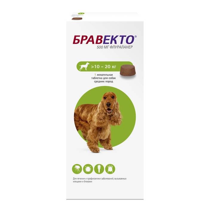Мифы и правда о бравекто для собак: что нужно знать владельцам?