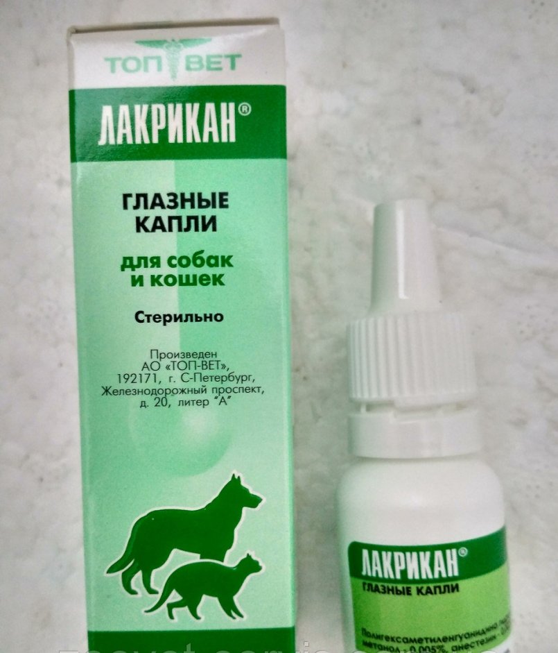 Как и чем промыть глаза кошке, котенку: инструкция для хозяев, лекарственные и народные средства, противопоказания и предосторожности