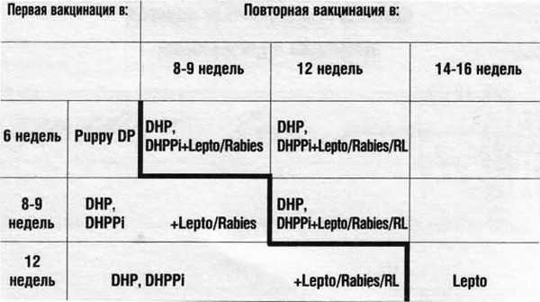 Схема прививок для собак