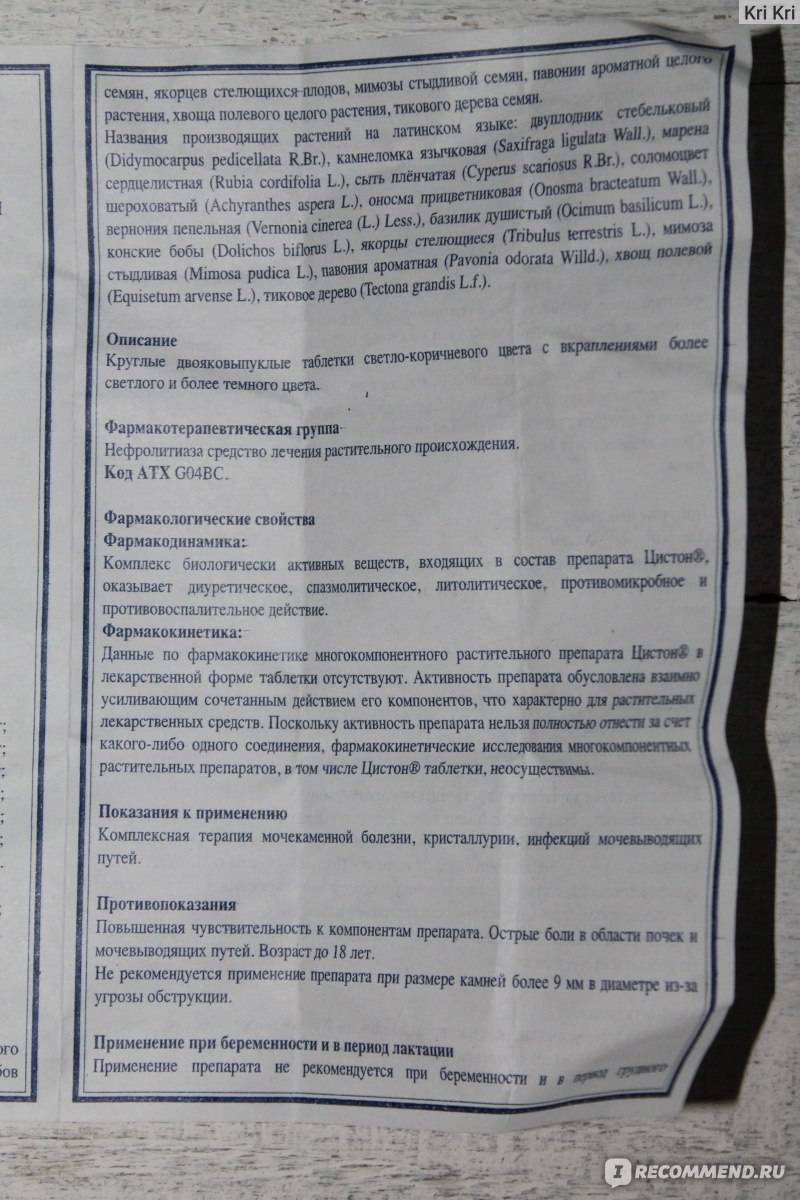 Цистон для кошек
