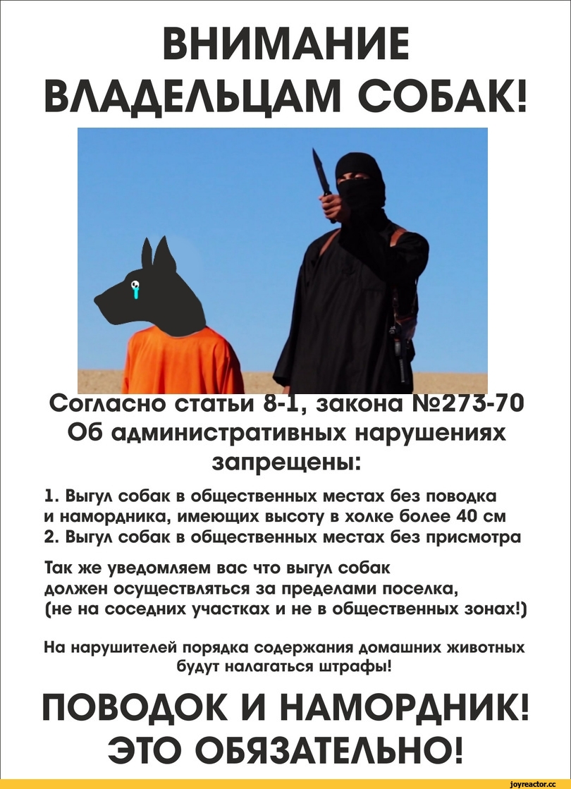 Выгул собак без намордника и поводка, статья коап – есть ли такая, кто несет ответственность?