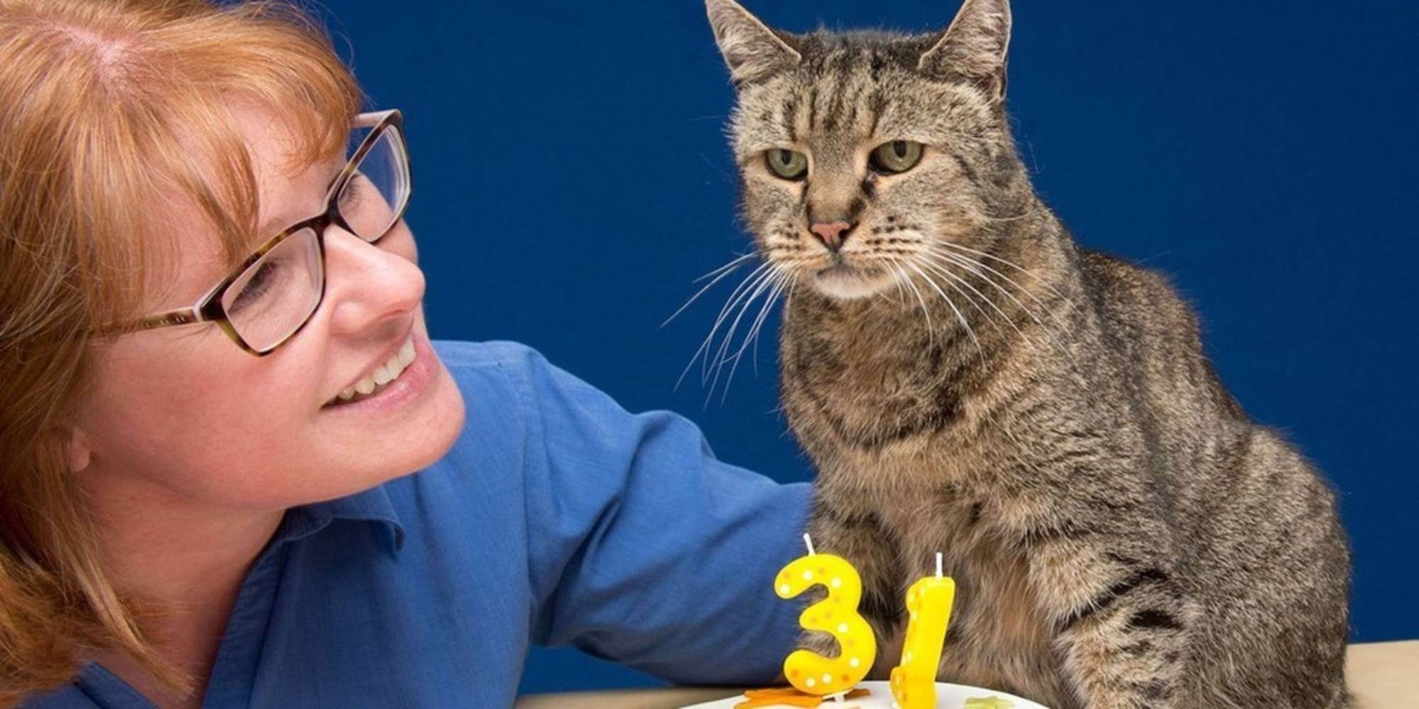 Кошки и коты долгожители: в чём секрет кошек, отметивших 30 летние юбилеи?