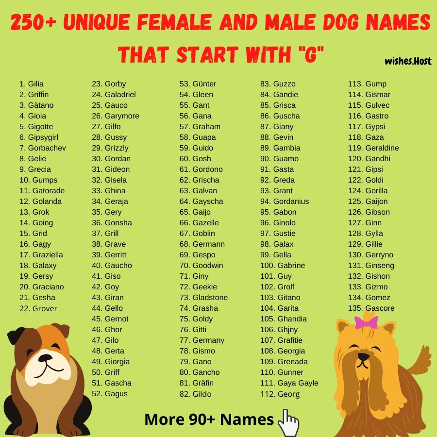 Клички на любой вкус для собак девочек: 285 эксклюзивных имен
