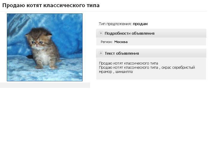 Продажа котят