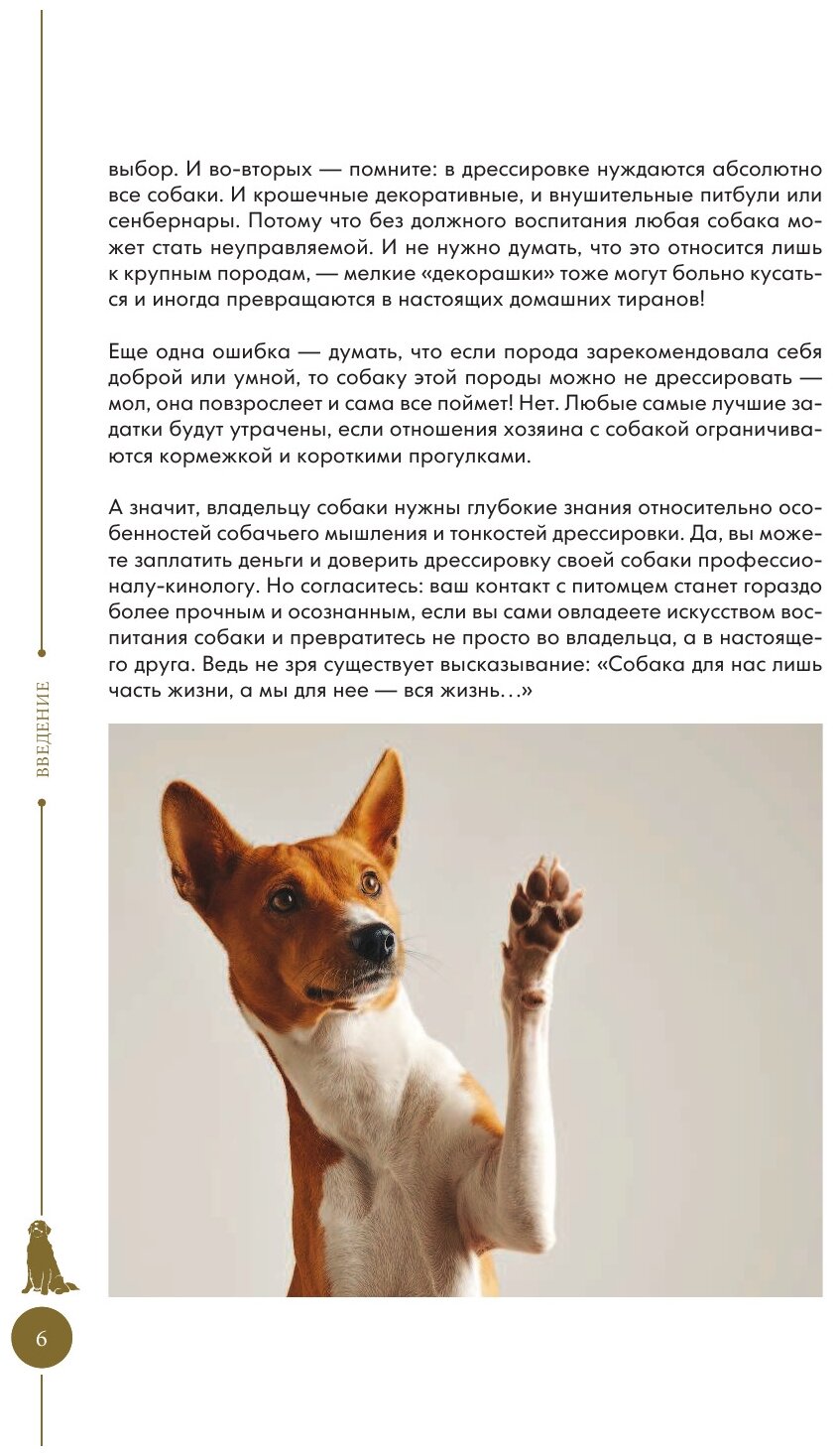 Как дрессировать щенка в домашних условиях — pet-mir.ru