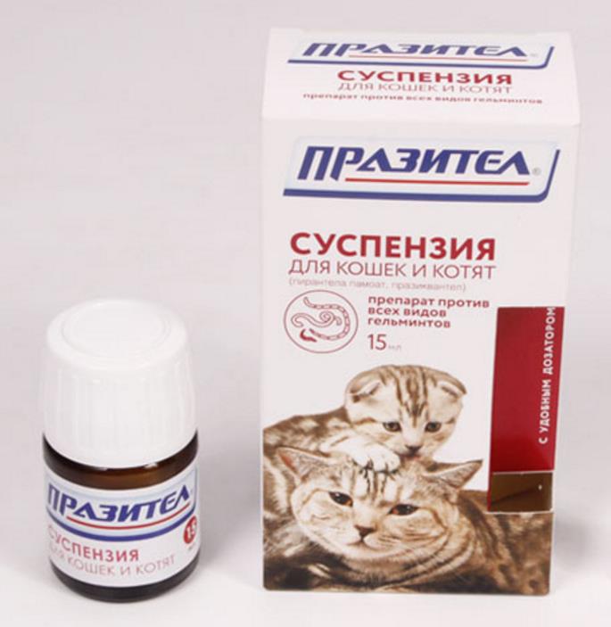 Препараты от глистов для кошек – таблетки, капли, суспензия, уколы, топ-35, какое глистогонное лучше