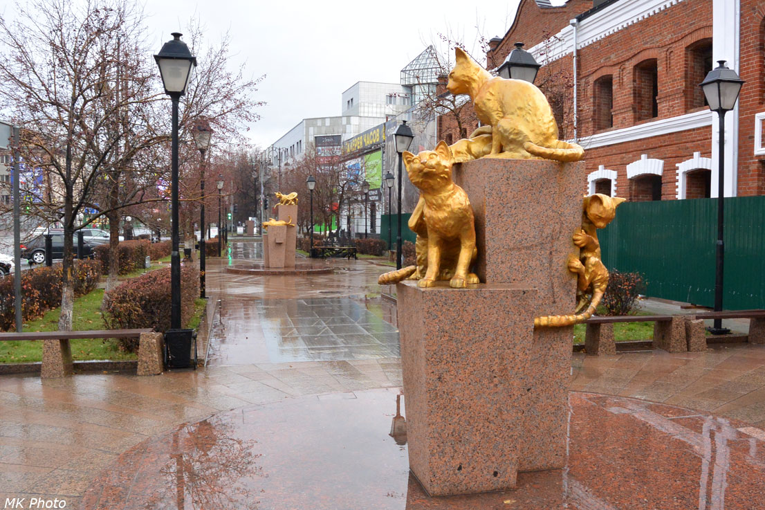 Сквер сибирских кошек, тюмень — история, фото, автор, где находится