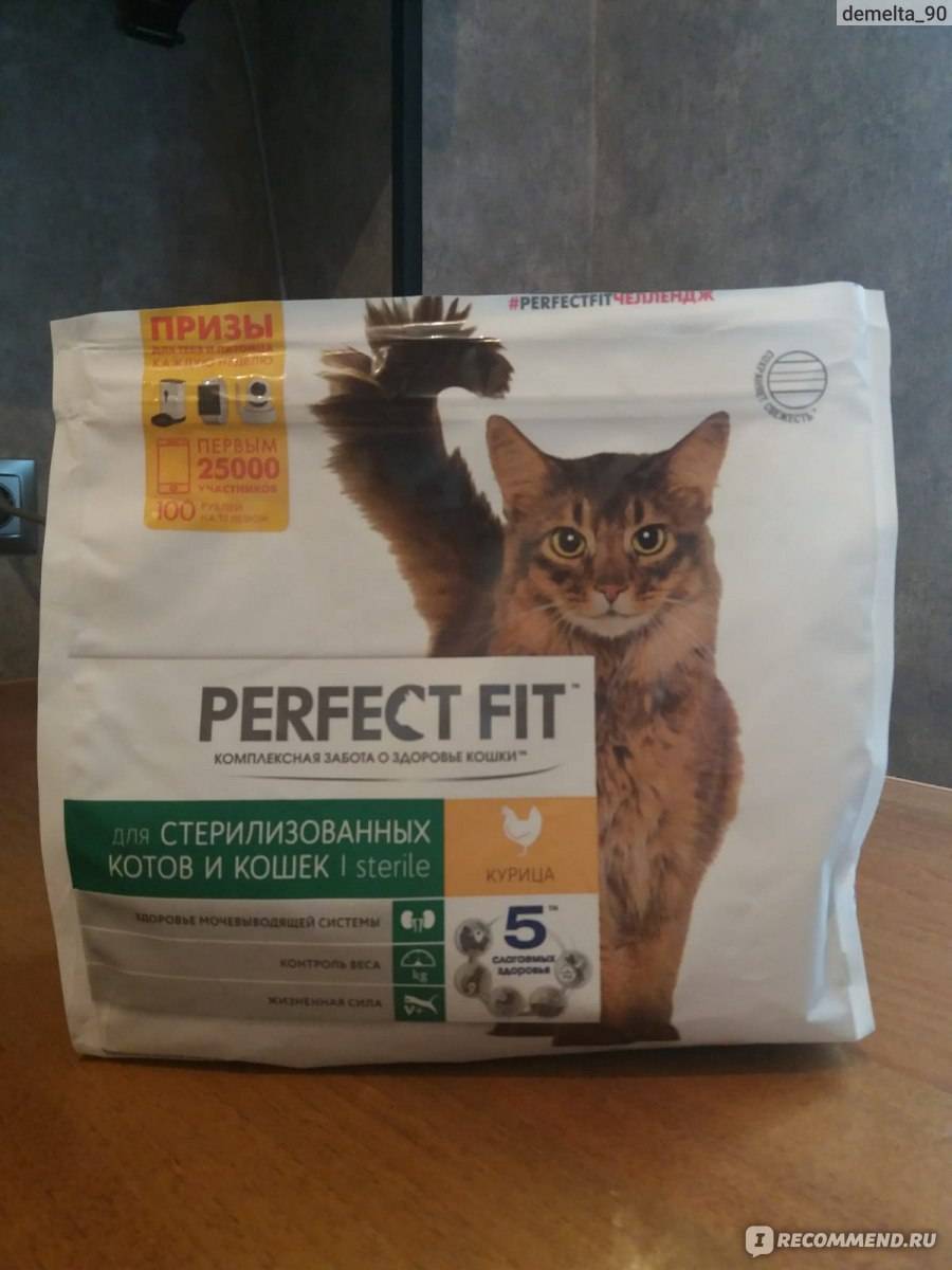 Perfect fit: класс корма для кошек, состав, ассортимент, отзывы