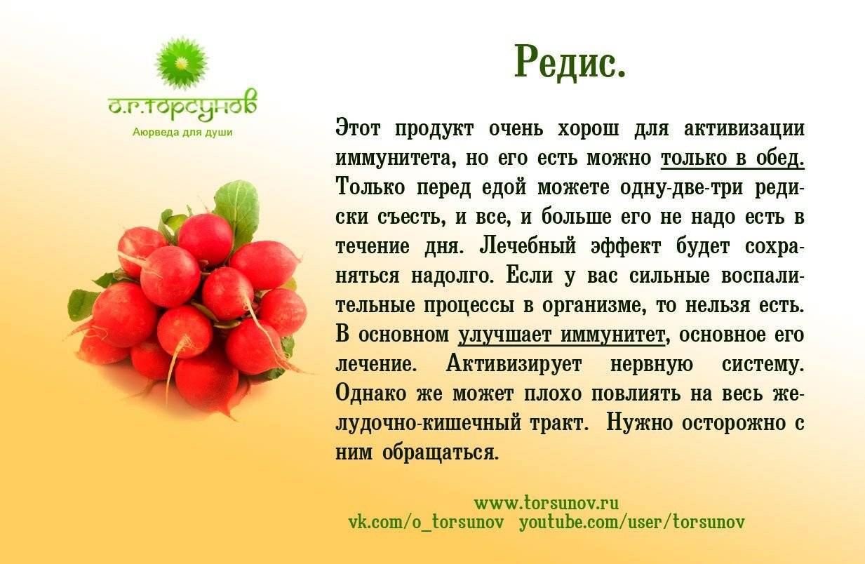 Чем можно кормить хомяка в домашних условиях