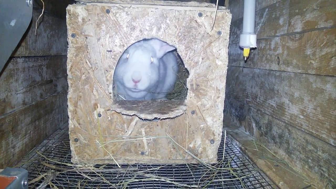 Термосберегающий маточник для кроликов
