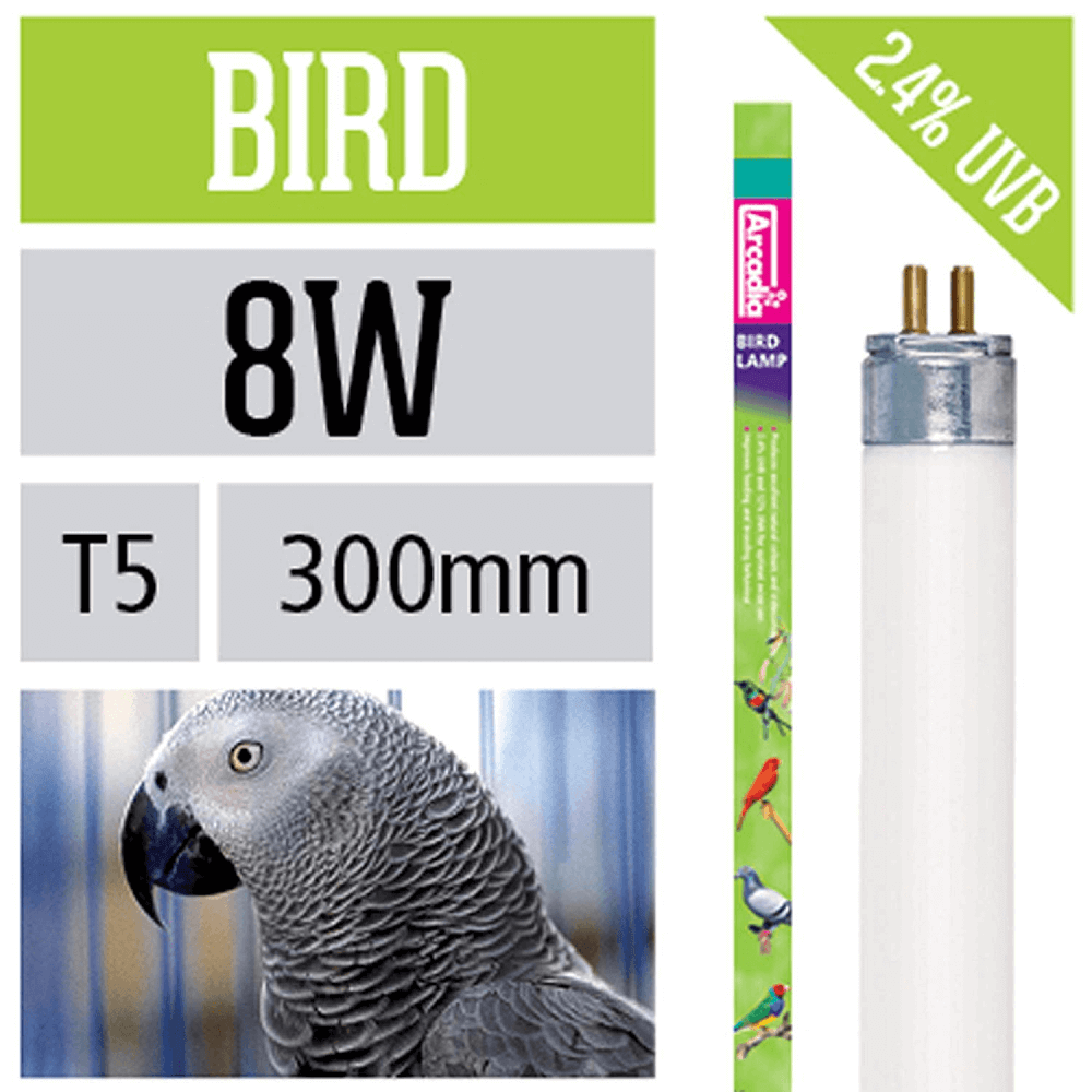 Ультрафиолет для птиц. лампы, характеристики и сравнение.