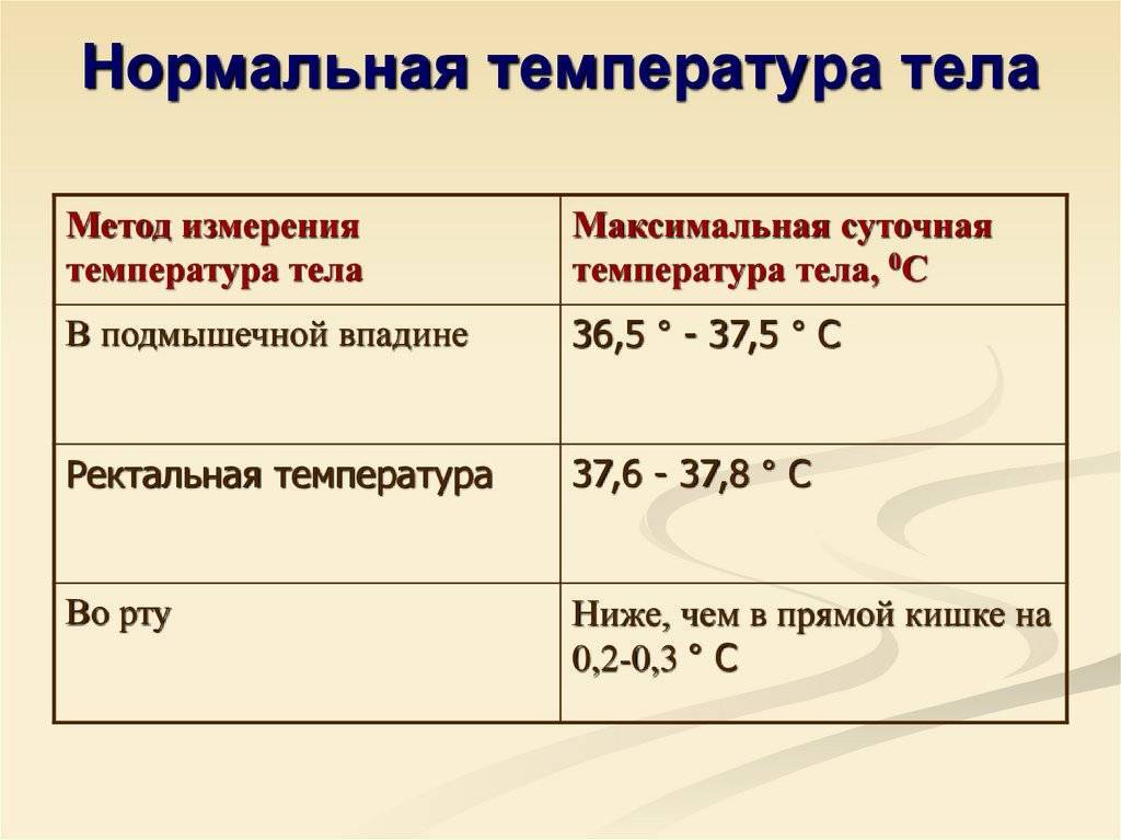 Какая нормальная температура у собак, как измерить, причины повышенной или пониженной температуры