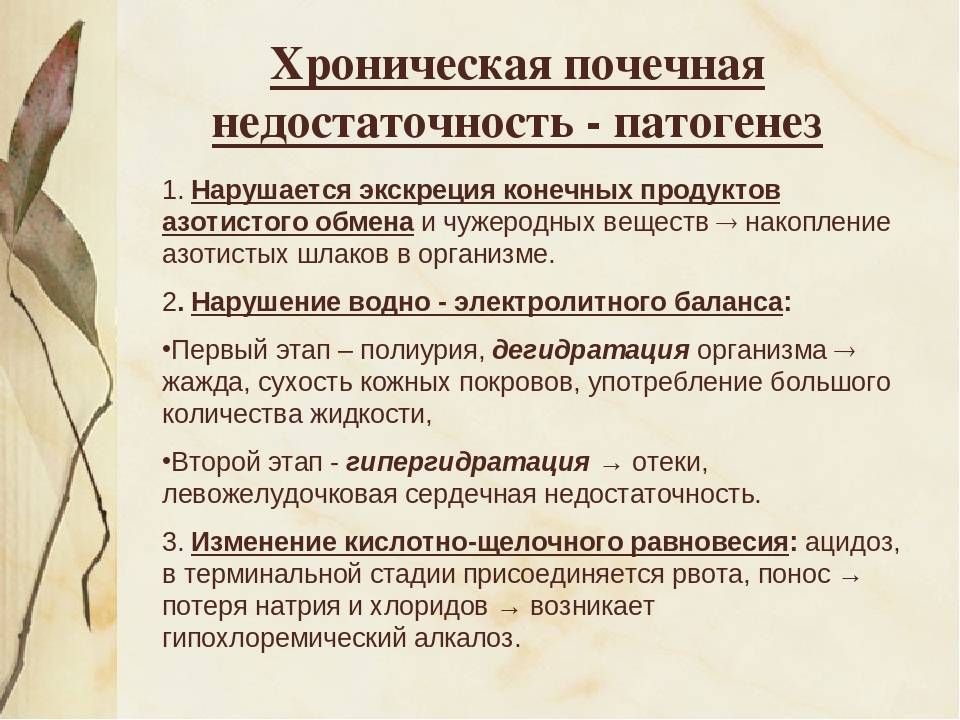 Хроническая почечная недостаточность (хпн) у кошек: симптомы, лечение