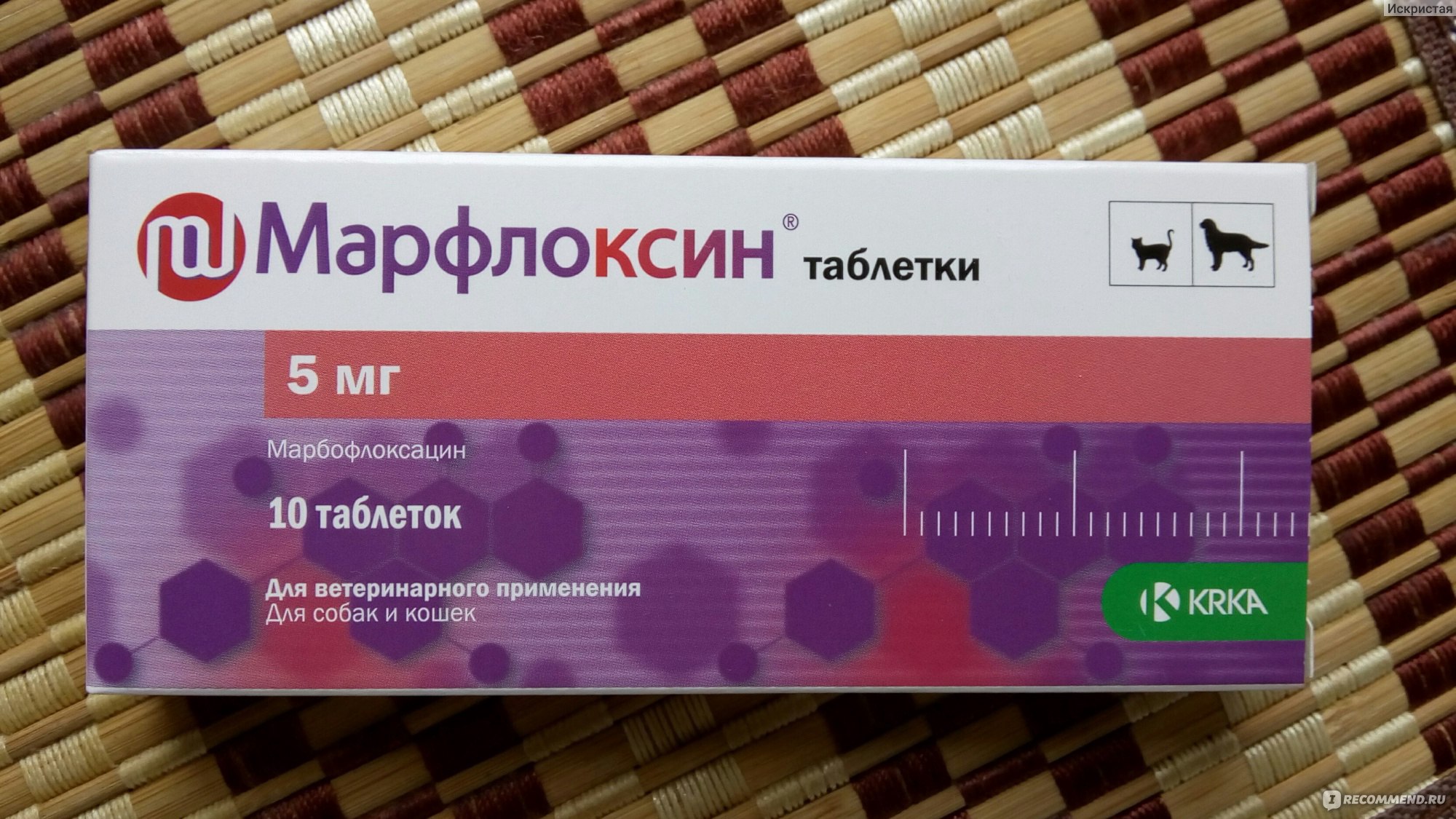 Марфлоксин для собак: таблетки и инъекции, инструкция по применению