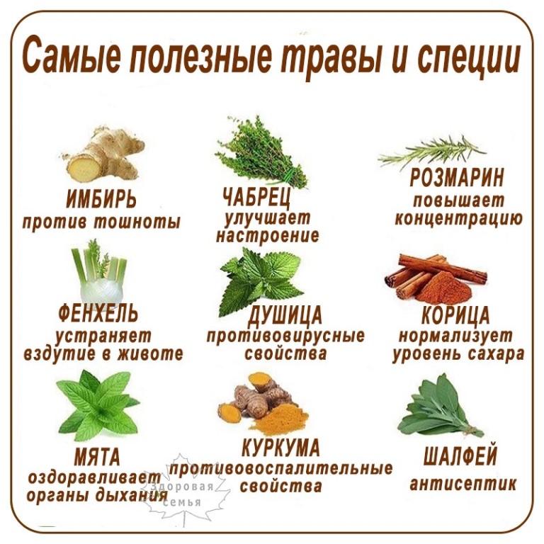 Можно ли морским свинкам траву