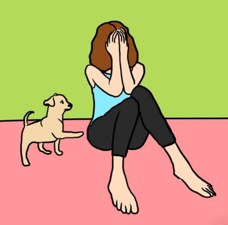 Причины, почему собака лижет человека