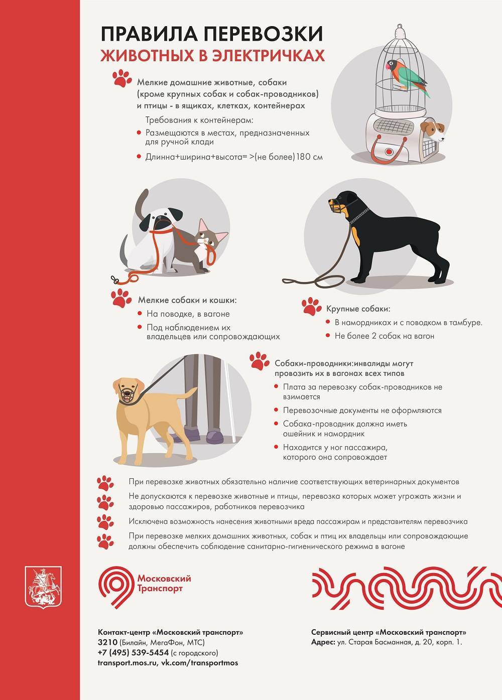 Как проехать с собакой в поезде по россии по новым правилам