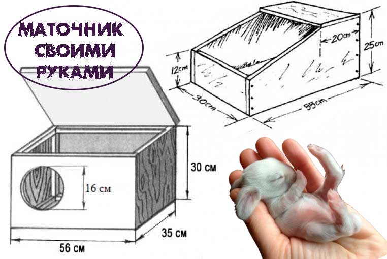 Маточник для кроликов: как сделать навесной маточник своими руками, чертежи с размерами клетки для этого и когда его убирать