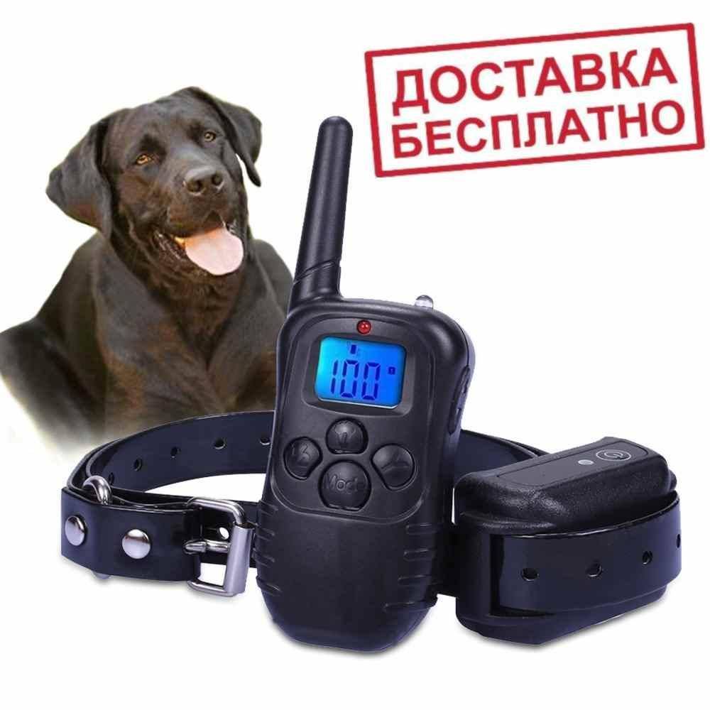 Виды ошейников с электрошоком для дрессировки собаки: выбор и применение